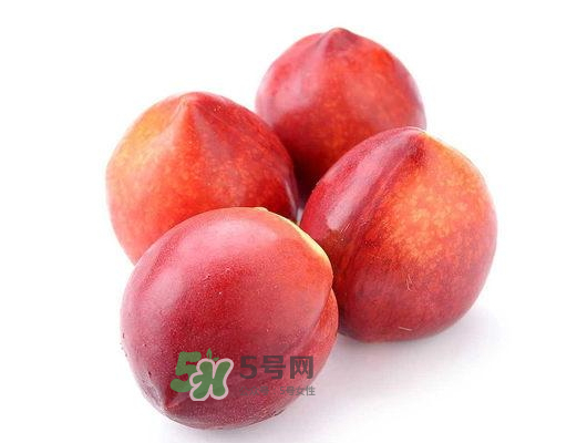 九月份還有桃子嗎？9月份成熟的桃子有幾種？