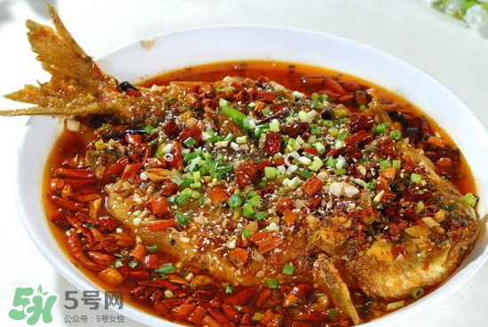 黑魚能愈合傷口嗎？黑魚為什么對傷口愈合？