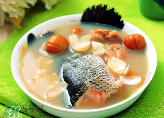 黑魚能愈合傷口嗎？黑魚為什么對傷口愈合？