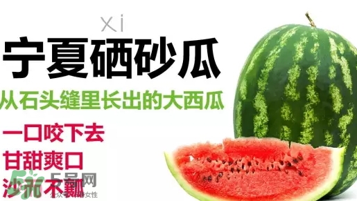 石頭瓜的營養價值 石頭瓜的功效作用