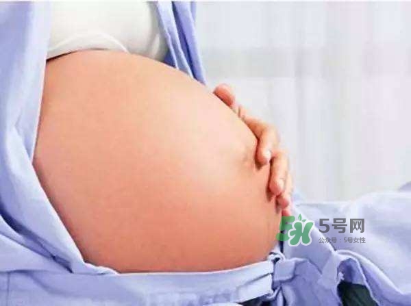 孕晚期肚子有規律的跳動是胎動嗎？