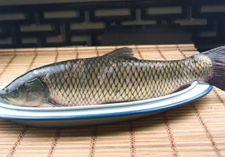黑魚可以清蒸嗎？黑魚蒸多久？