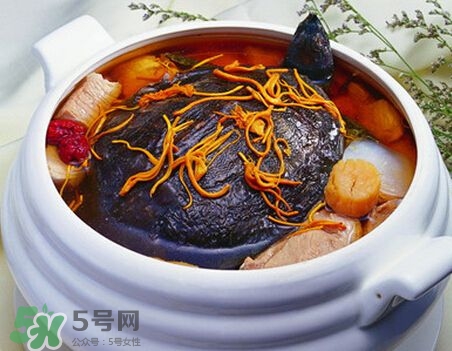 產婦能吃甲魚嗎？產婦能吃甲魚湯嗎？