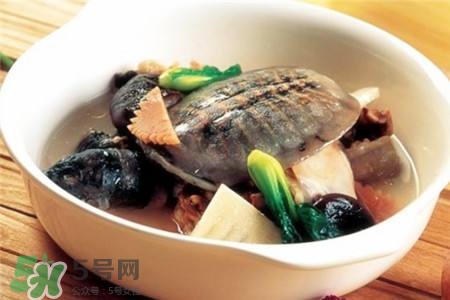 產婦能吃甲魚嗎？產婦能吃甲魚湯嗎？