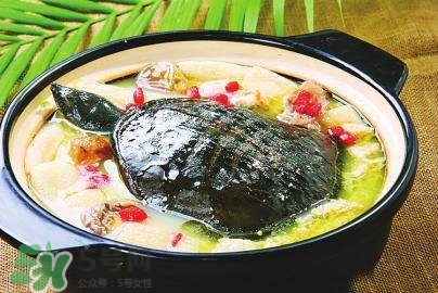 甲魚湯下奶嗎？下奶的食物有哪些？