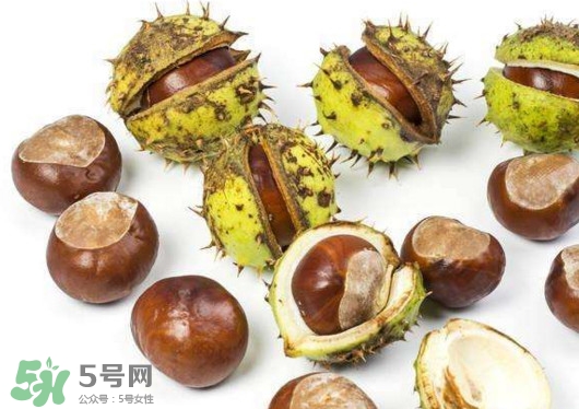 板栗殼怎么好剝？怎樣剝板栗殼最快