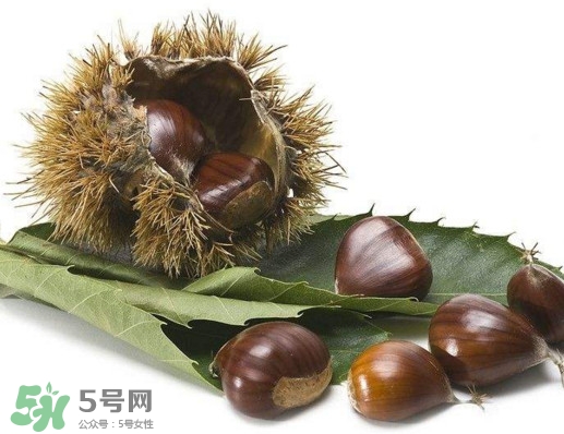板栗殼里面的皮能吃嗎？板栗殼有什么作用