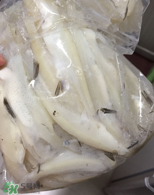 銀魚可以煲粥嗎？銀魚可以包餃子嗎？