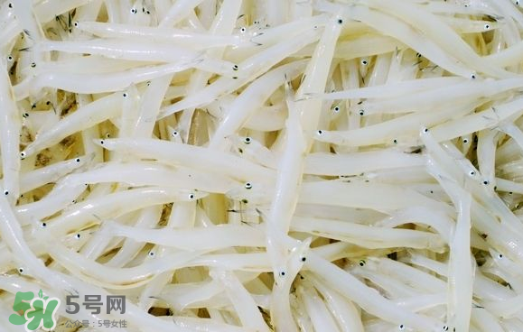銀魚可以煲粥嗎？銀魚可以包餃子嗎？