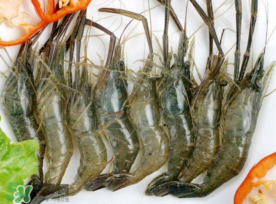 河蝦是海鮮嗎？河蝦屬于海鮮嗎？
