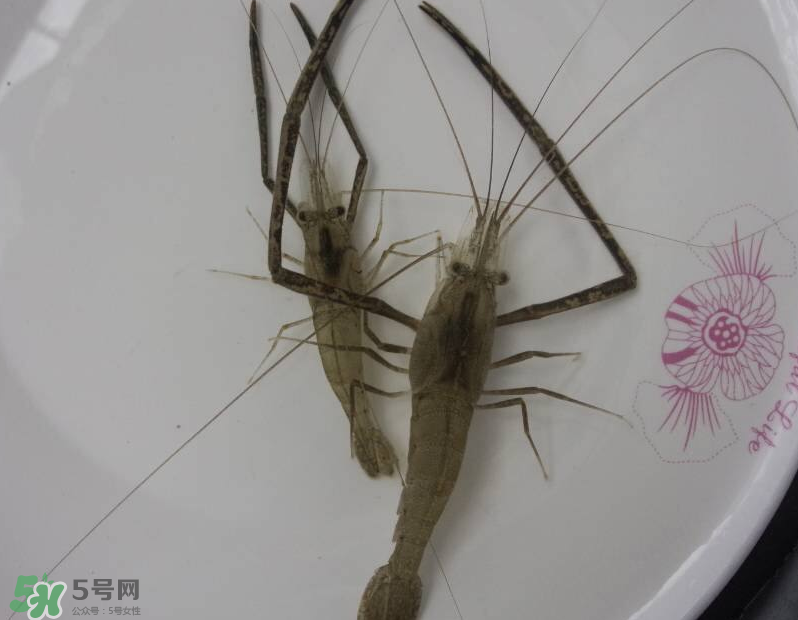 河蝦可以和牛奶同食嗎？河蝦和牛奶能一起吃嗎？