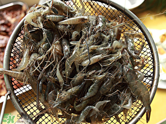 河蝦可以吃頭嗎？蝦頭到底能不能吃？
