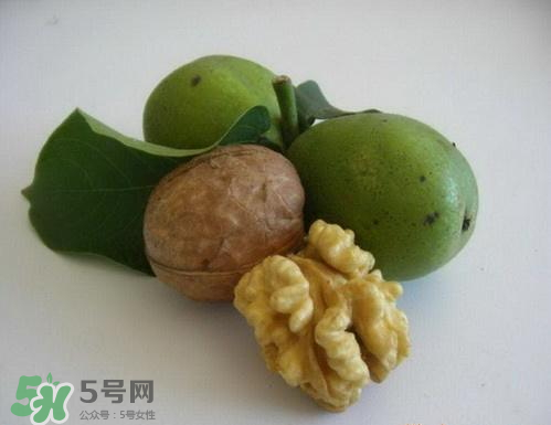 鮮核桃和干核桃哪個(gè)更有營(yíng)養(yǎng)？鮮核桃和干核桃哪個(gè)營(yíng)養(yǎng)價(jià)值高？