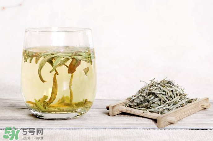 白毫銀針屬于綠茶嗎？白毫銀針是什么茶？