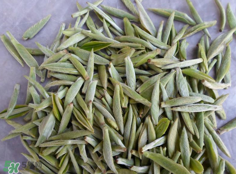 白毫銀針屬于綠茶嗎？白毫銀針是什么茶？