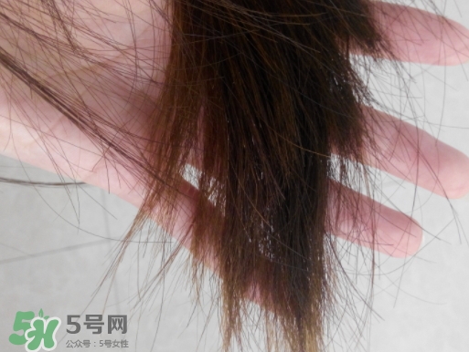 護發精油要洗嗎？護發精油要不要洗