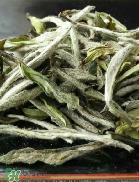 白毫銀針的產(chǎn)地在哪個省？白毫銀針是哪里產(chǎn)的？