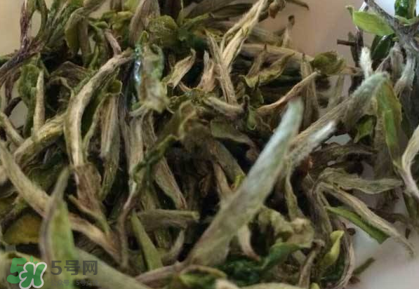 白茶需要洗茶嗎？白茶是洗還是不洗？