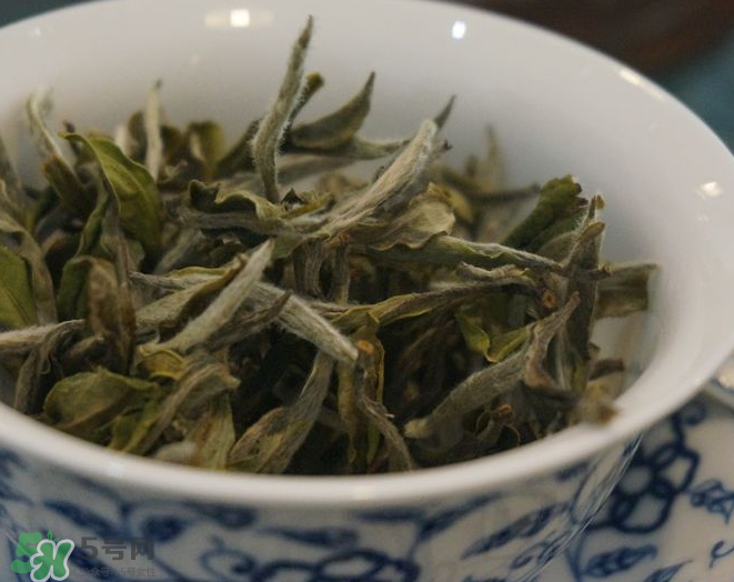 白茶需要洗茶嗎？白茶是洗還是不洗？