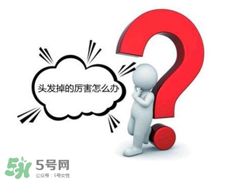 æŽ‰é ­ç™¼(fÄ)èˆ‡è‚æœ‰é—œ(guÄn)ç³»å—Žï¼ŸæŽ‰é ­ç™¼(fÄ)èˆ‡ç¼ºéˆ£æœ‰é—œ(guÄn)ç³»å—Ž