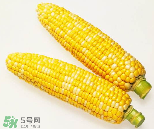 九月份能種玉米嗎？玉米九月份還可以種嗎？