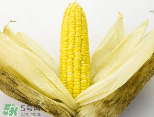 九月份能種玉米嗎？玉米九月份還可以種嗎？