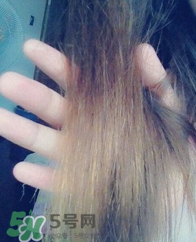 摩洛哥護發精油是哪個國家的？摩洛哥護發精油孕婦能用嗎