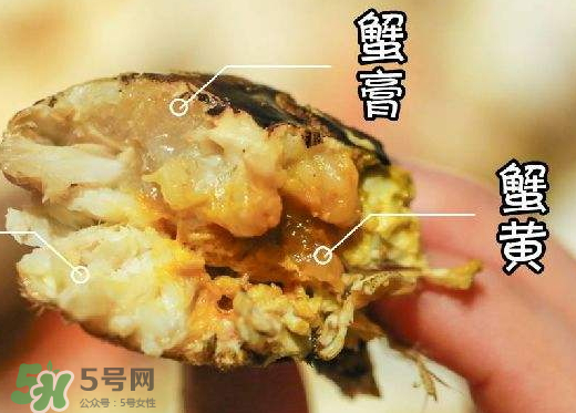 蟹黃是黑色的怎么回事？蟹黃中間有黑的是什么？