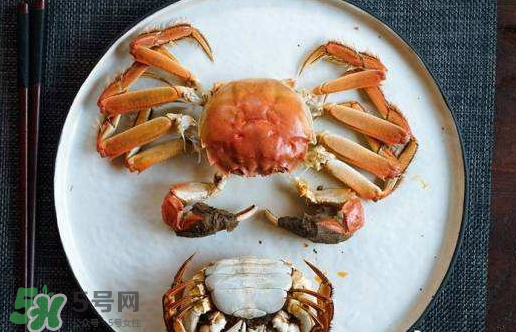 啤酒蒸大閘蟹好吃嗎？啤酒蒸大閘蟹怎么吃？