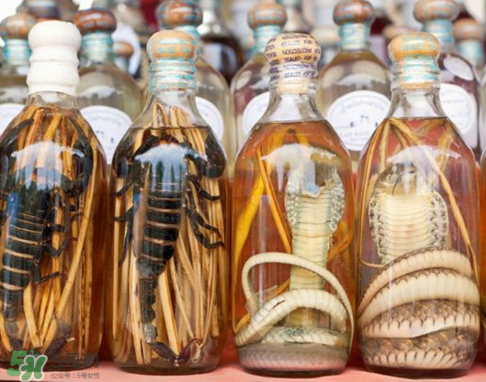毒蛇泡酒有毒嗎？毒蛇泡酒能喝嗎？