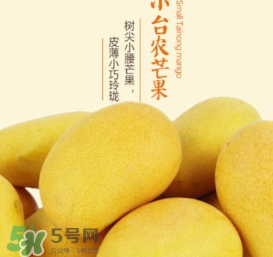 臺農芒果多少錢一斤？臺農芒果為什么叫臺農芒果