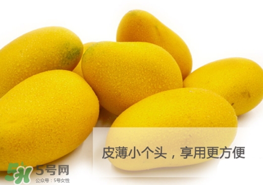 臺農芒果多少錢一斤？臺農芒果為什么叫臺農芒果