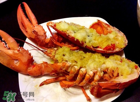 æ³¢å£«é “é¾è¦æœ‰ä»€ä¹ˆç°¡å–®å¥½åƒçš„åšæ³•ï¼Ÿæ³¢å£«é “é¾è¦è¦æ€Žä¹ˆæ®º