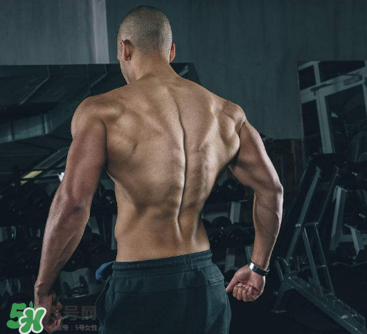 龍門架怎么練背？龍門架練背動作推薦