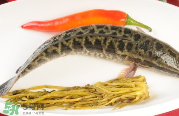 黑魚和草魚哪個好吃？黑魚不適合什么人吃