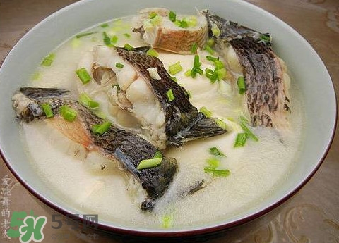 黑魚湯是發物嗎？黑魚湯可以放香菇嗎