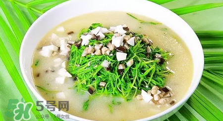 秋季養生吃什么？秋季養生湯推薦