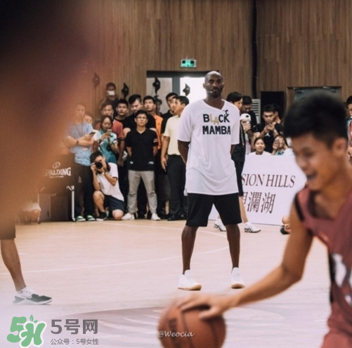 nike kobe ad mid baseline什么時候發售_多少錢？
