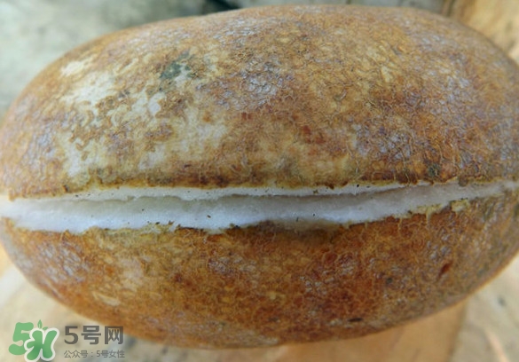 預知子果為什么種的人少？預知子和八月扎有區別嗎