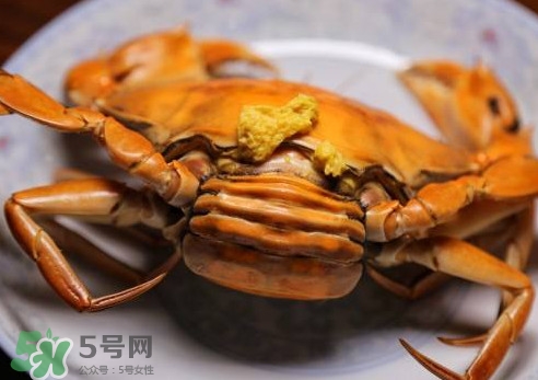 黃油蟹的選蟹標(biāo)準(zhǔn)是什么？黃油蟹的等級分類