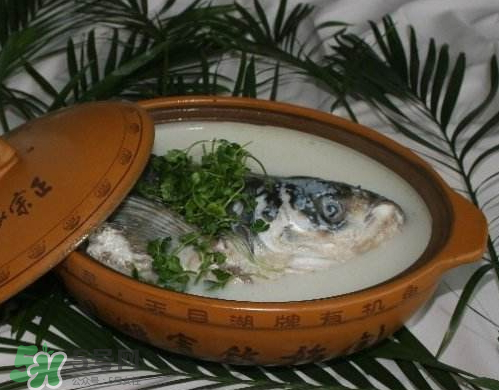 鰱魚(yú)頭湯孕婦可以吃嗎？鰱魚(yú)頭湯的功效與作用