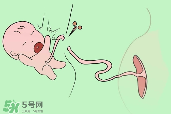 寶寶臍帶什么時(shí)候脫落？寶寶臍帶脫落后怎么護(hù)理？