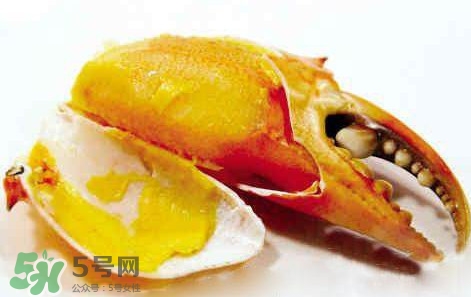 黃油蟹怎么保存？黃油蟹的營養價值