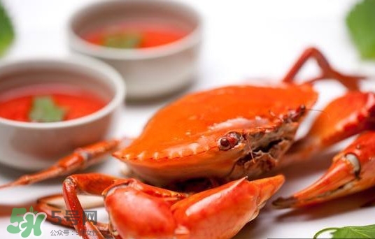黃油蟹是海蟹嗎？黃油蟹是如何進化的