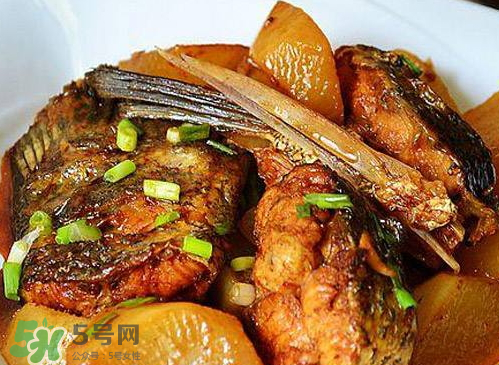 鱸魚可以紅燒嗎？鱸魚清蒸還是紅燒好吃？