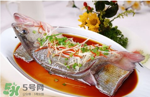 鱸魚(yú)為什么沒(méi)有刺？鱸魚(yú)為什么刺少？