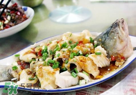 鱸魚(yú)為什么沒(méi)有刺？鱸魚(yú)為什么刺少？