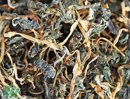 梅干菜有醬油嗎？梅干菜有營養嗎