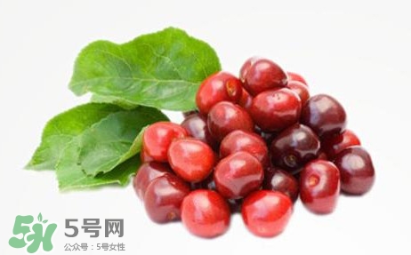 蔓越莓什么時候成熟？蔓越莓什么時候吃最好