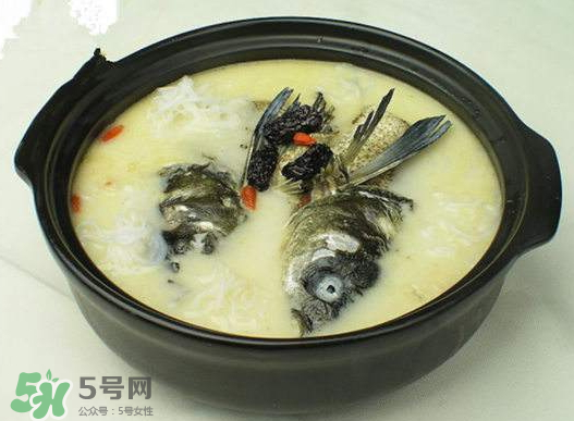 鯉魚(yú)湯怎么做好吃？鯉魚(yú)湯里面可以放什么？